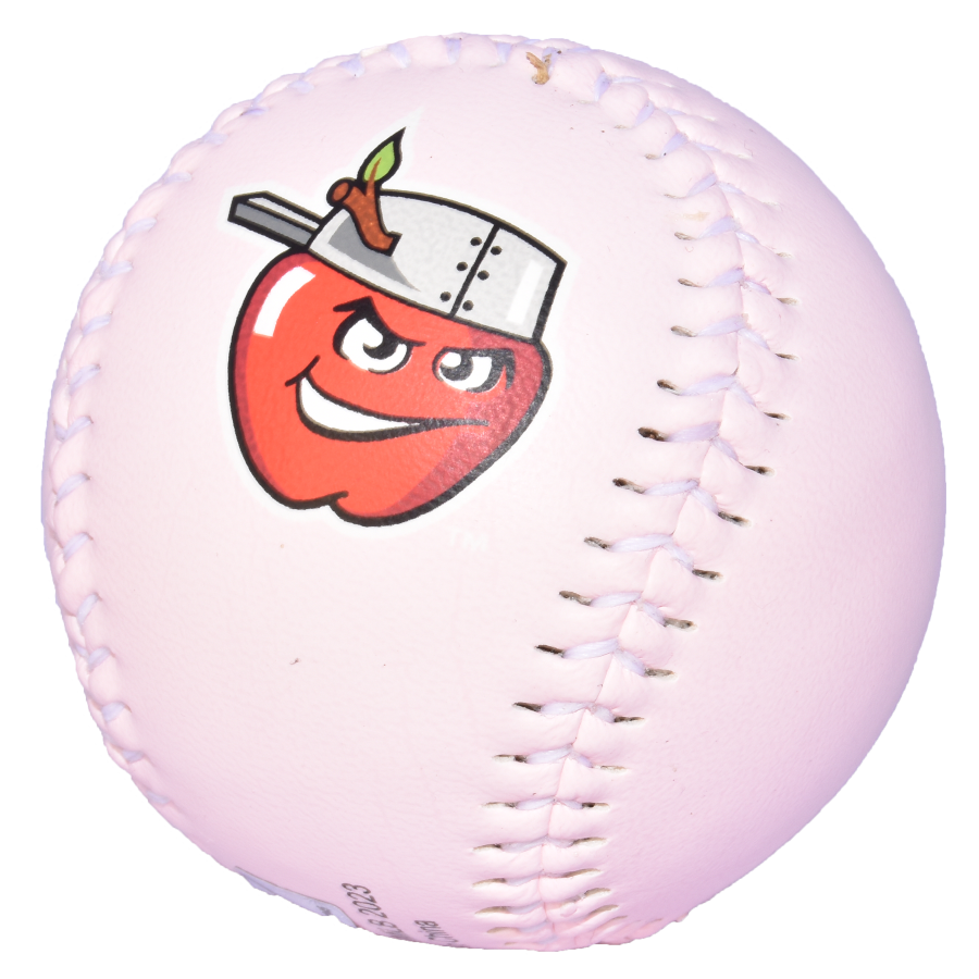 Fort Wayne TinCaps Logo Ball Fort Wayne TinCaps Official Store