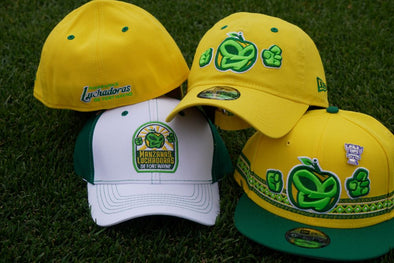 Manzanas Luchadoras de Fort Wayne