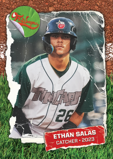 Fort Wayne TinCaps 2023 Team Card Expansion Set