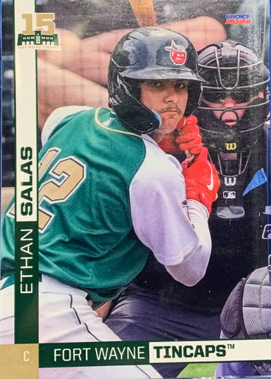 Fort Wayne TinCaps 2024 Team Card Set