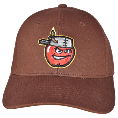 Tincaps hat top