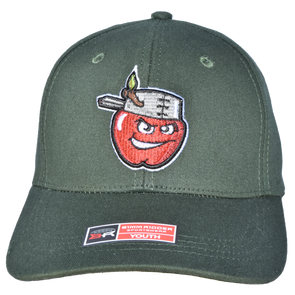 Fort Wayne TinCaps Home Replica Bimm YOUTH Dark Green Cap