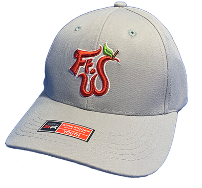 Fort Wayne TinCaps Replica BP Youth Light Gray Cap - Bimm