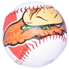 Fort Wayne TinCaps Logo Ball Tenderloins