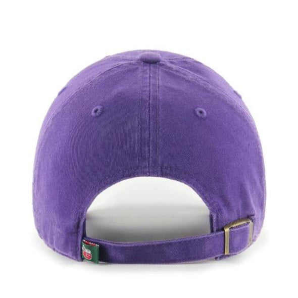 Fort Wayne TinCaps Purple Clean Up Youth Cap 2